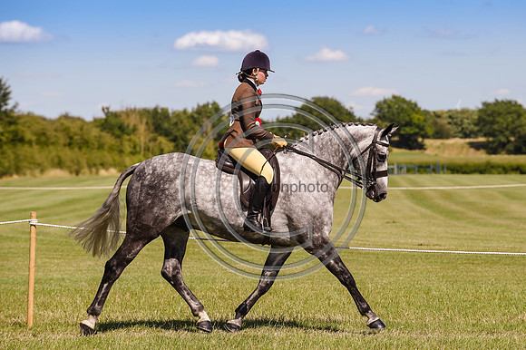 HorseNo1157_ShowRegSGS15pn_28641