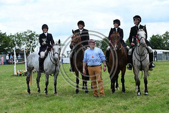 Festival of Hounds 2024