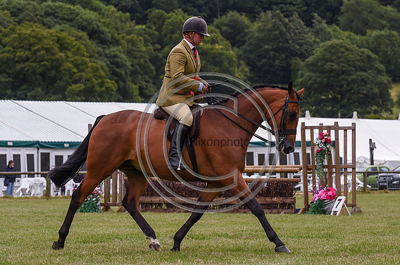 HorseNo04_Bakewell15pn_31344