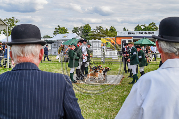 Festival of Hounds 2024
