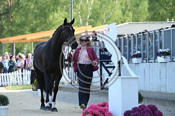 Longines Luhmühlen Horse Trials