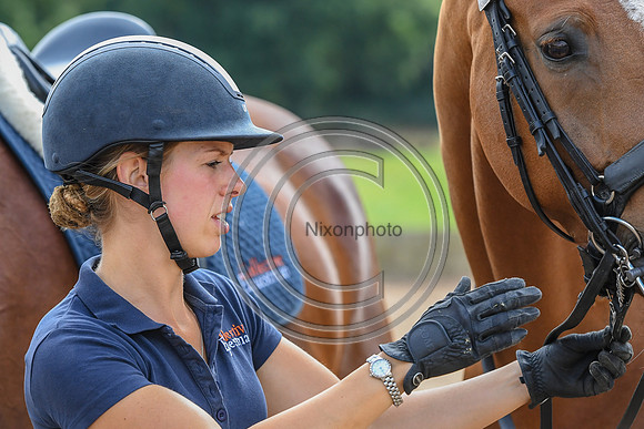 Collective Equestrian