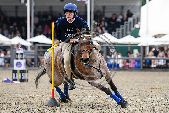 DAKS_PCMounted Games_RWHS_PN22_87_