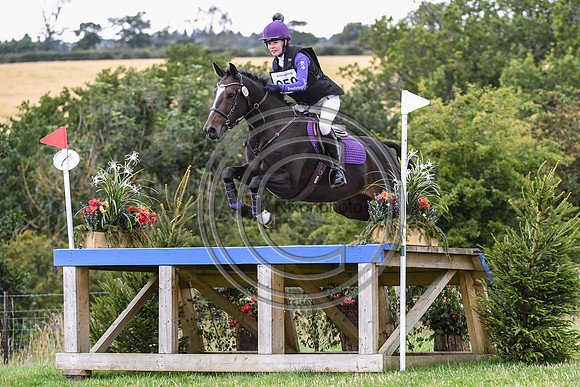HorseNo958_Burgham_20PN_90879