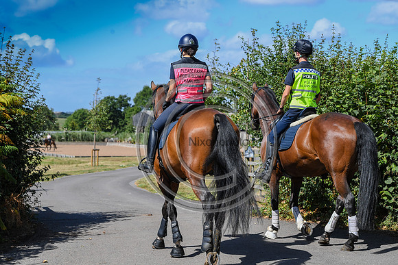 Collective Equestrian