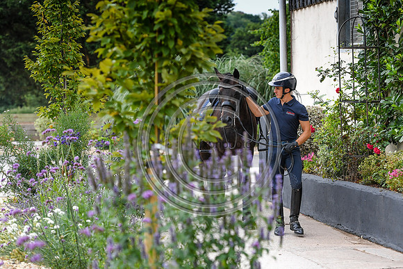 Collective Equestrian