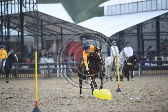 DAKS_PCMounted Games_RWHS_PN24_132999
