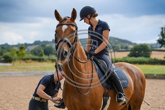 Collective Equestrian
