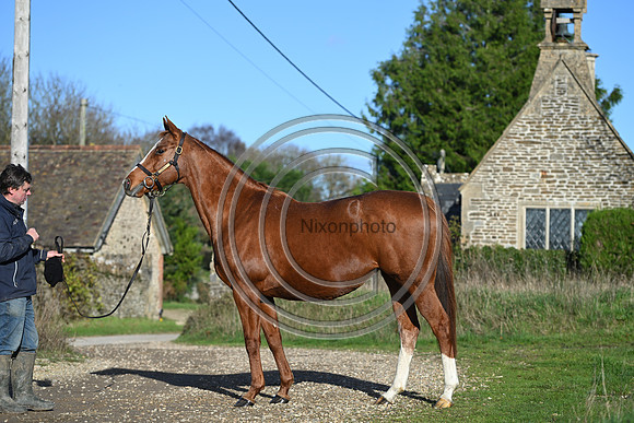Mare_Selwood_PN36