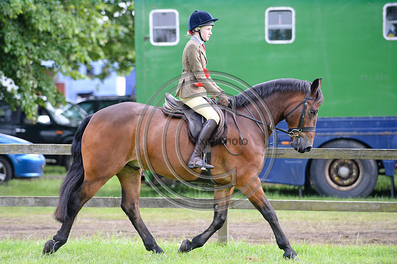 HorseNo841_SuffolkShow14pn_4949