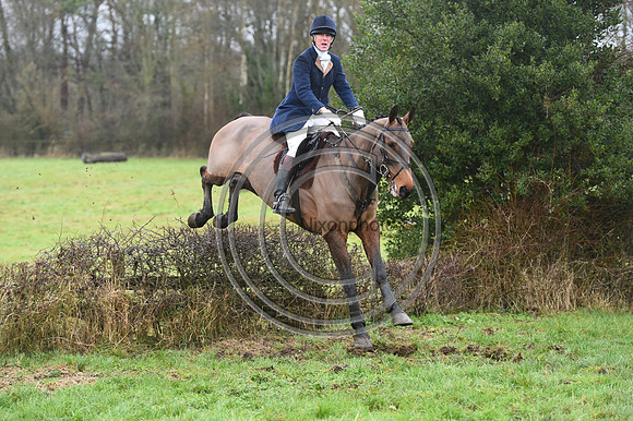 Duke of Beaufort's Hunt  08 01 22