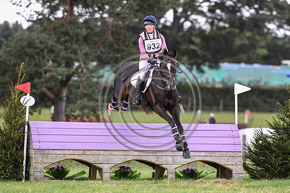 HorseNo932_Burgham_20PN_90842
