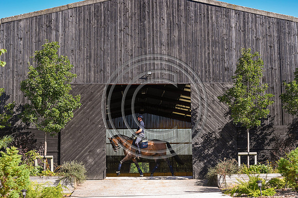 Collective Equestrian