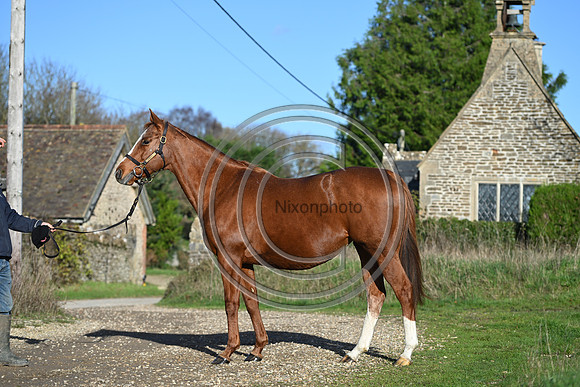Mare_Selwood_PN27