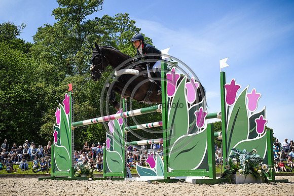 Bicton Arena International (1)