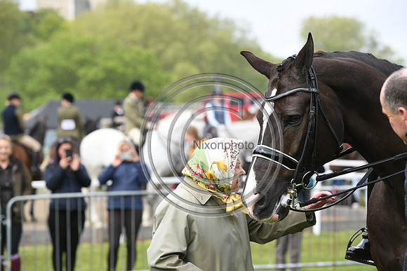 Valegro_RWHS_PN19_12958