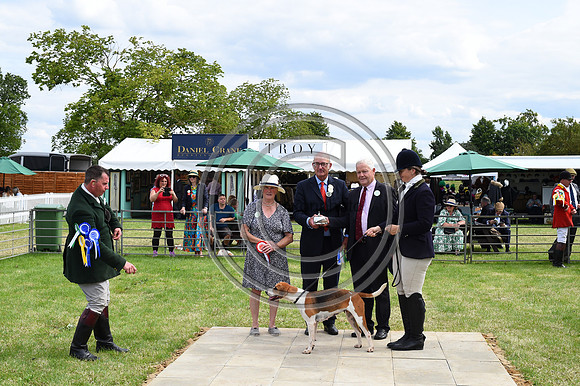 Festival of Hounds 2024