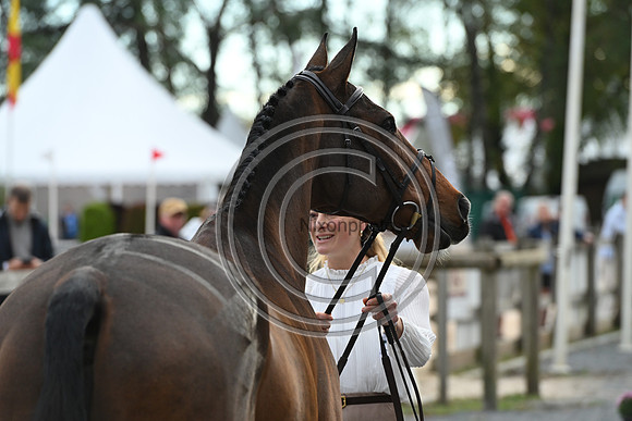 Caroline HARRIS_D. DAY_Pau_PN24_177564