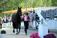 Longines Luhmühlen Horse Trials