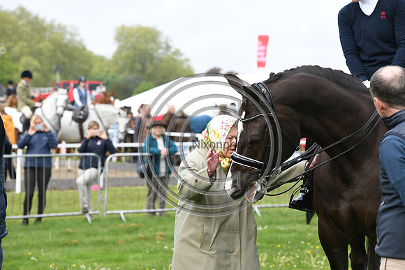 Valegro_RWHS_PN19_12959