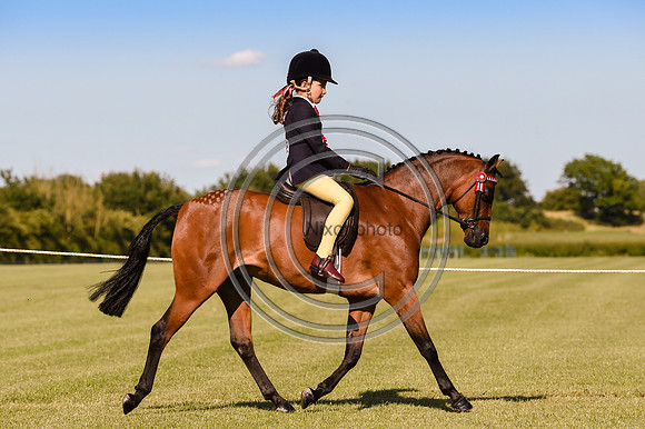 HorseNo1155_ShowRegSGS15pn_28668