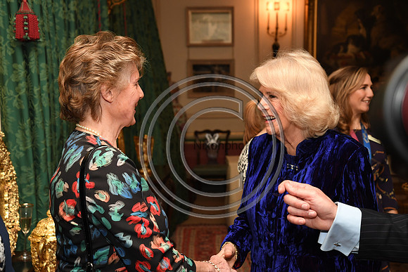 DUCHESS OF CORNWALL_BEF_PN22_10792