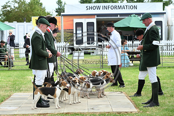 Festival of Hounds 2024