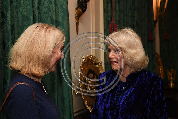DUCHESS OF CORNWALL_BEF_PN22_10801