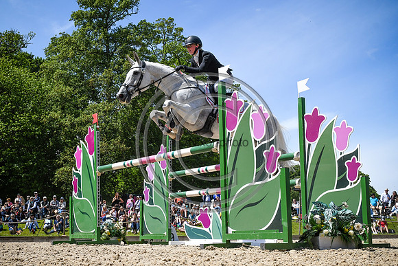Bicton Arena International (1)
