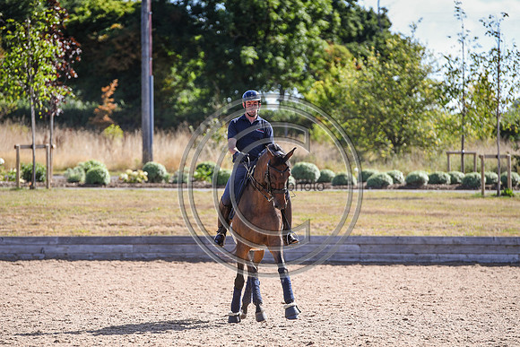 Collective Equestrian