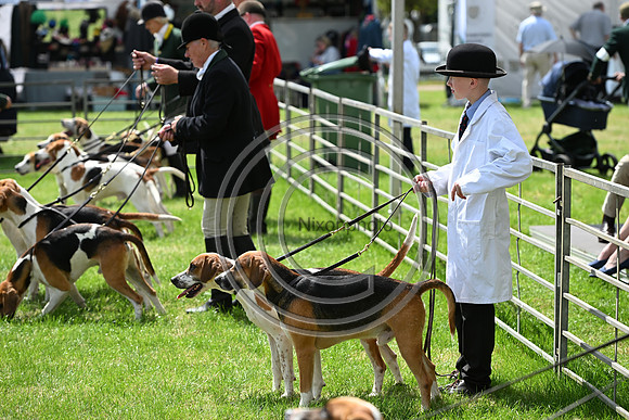 Festival of Hounds 2024