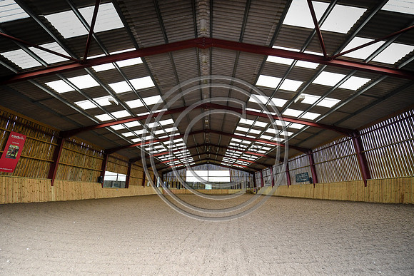 Collective Equestrian