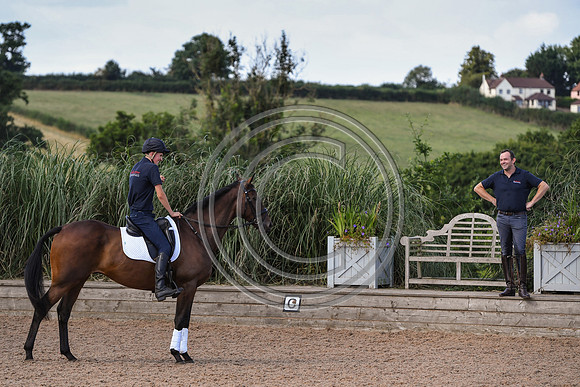 Collective Equestrian