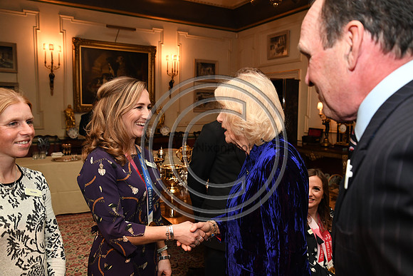 DUCHESS OF CORNWALL_BEF_PN22_10779