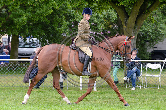 HorseNo450_SuffolkShow14pn_5025