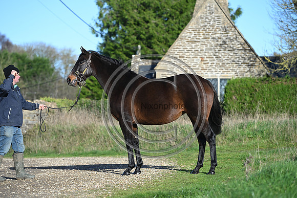 Mare_Selwood_PN1