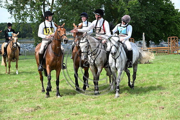 Festival of Hounds 2024
