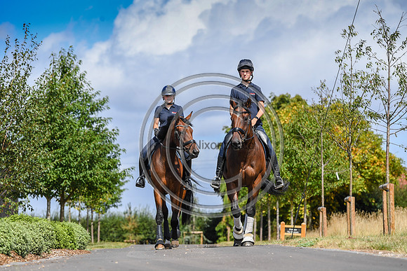 Collective Equestrian