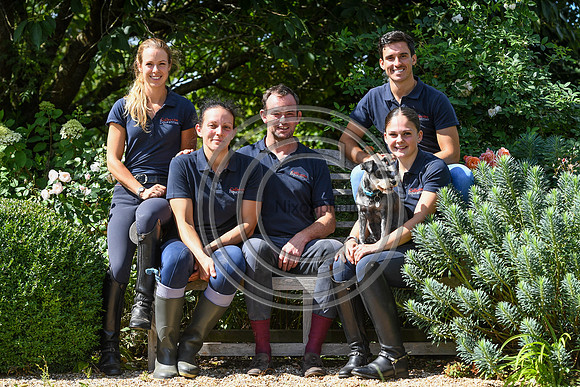 Collective Equestrian
