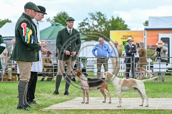 Festival of Hounds 2024