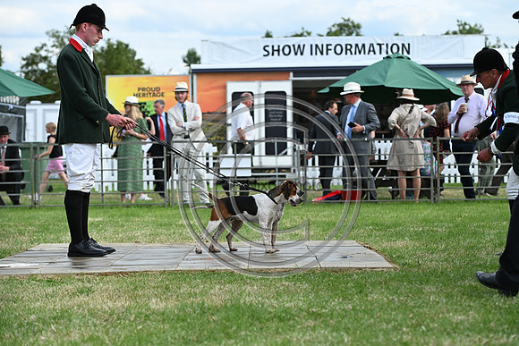 Festival of Hounds 2024