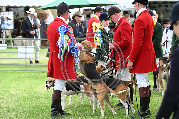 Festival of Hounds 2024