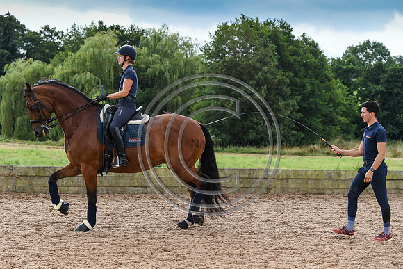 Collective Equestrian
