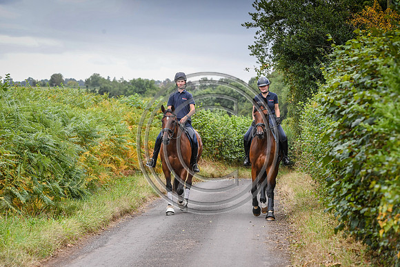 Collective Equestrian