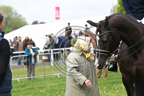 Valegro_RWHS_PN19_12961