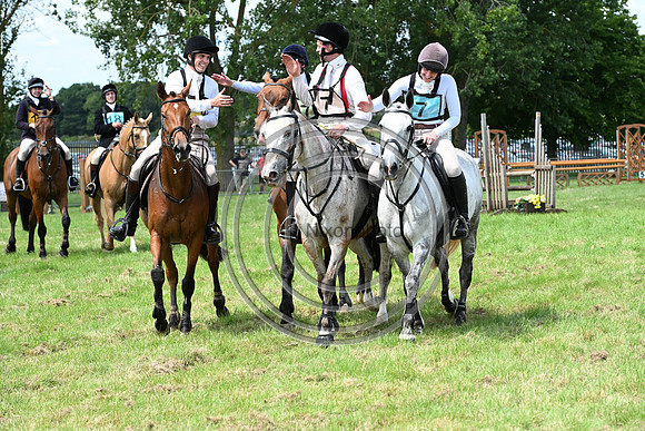Festival of Hounds 2024