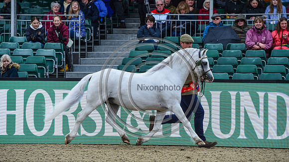 Hoekhorst Example_RWHS_PN24_132051