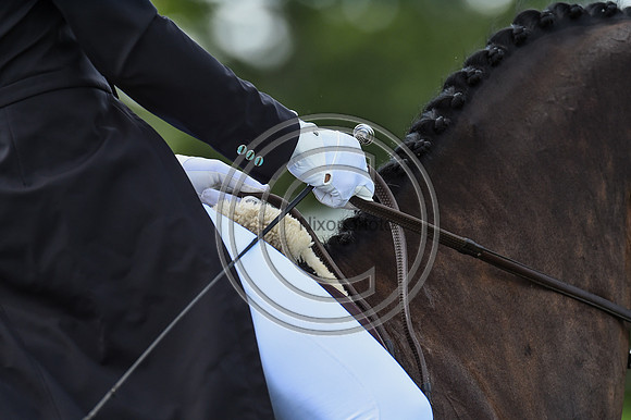 HorseNo830_Burgham_20PN_81280