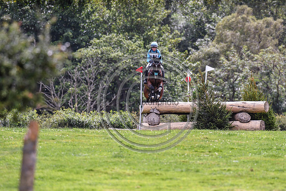 HorseNo821_Burgham_20PN_88401
