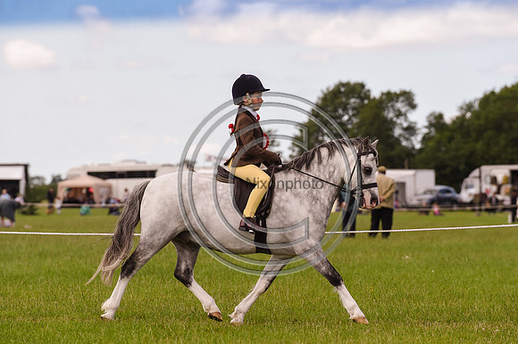 HorseNo1073_ShowRegSGS15pn_28580